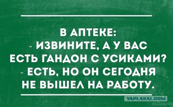 Смешные картинки из инета