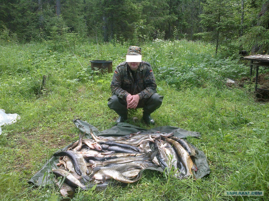 Разговор с глухим. Глухие логотип. Наглухо как пишется о или а. Наглуха. Кедровка гнездо.