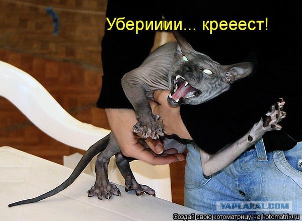 Чёрт, чёрт, чёрт!