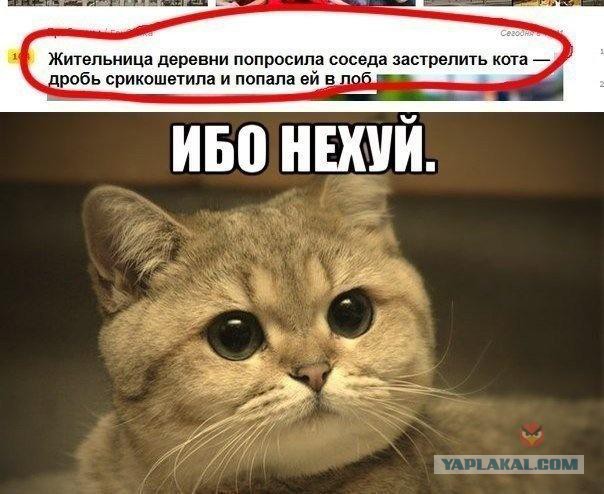 немного маразмов