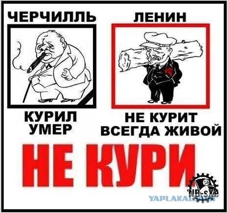 Особое мнение