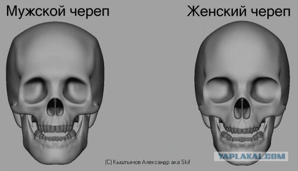 Калининградка выйграла турнир по бодибилдингу