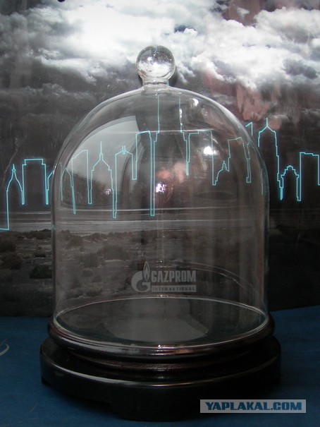 од стеклянным колпаков. часы под стеклянным колпаком настольные. стеклянный колпак книга. "под стеклянным колпаком" сильвии плат. книга под стеклом.