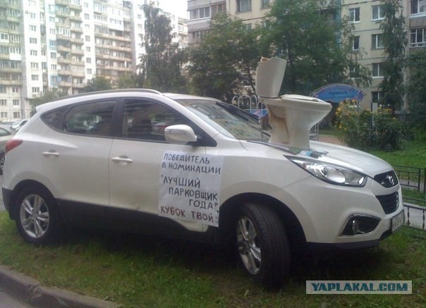 Настоящий газонный вредитель на Митсу