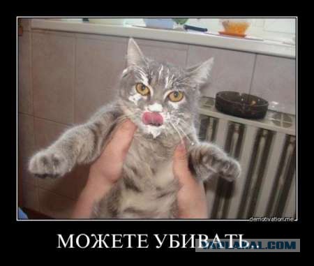 Зверский позитив