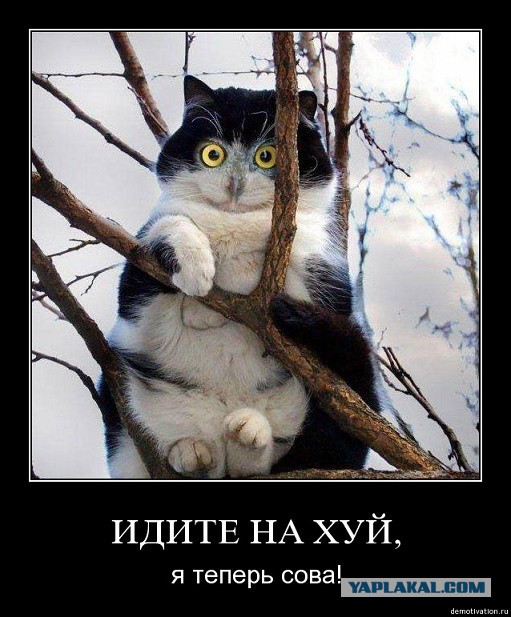 Сфинкс