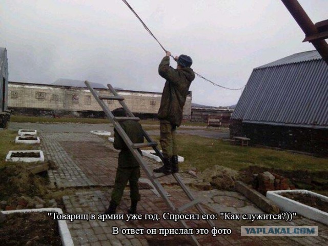 Картинки набрались разные