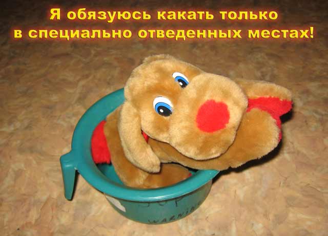 ИГРУШКИ. Прикольные игрушки!