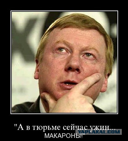 Чубайс попросил у Путина 90 млрд рублей