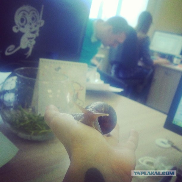 Федя
