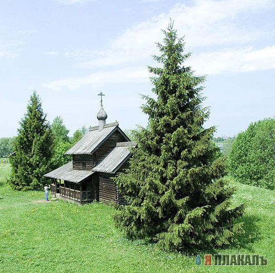 любительская фотография