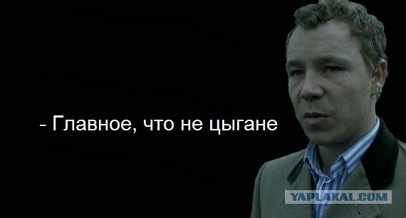 Покусал бездомный слепень (злой мух)