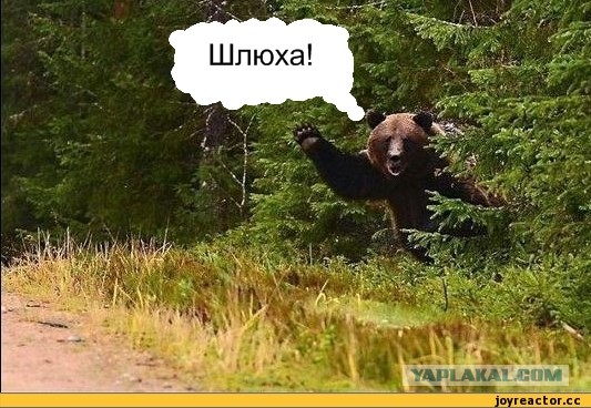 Кисс-кэм фейк