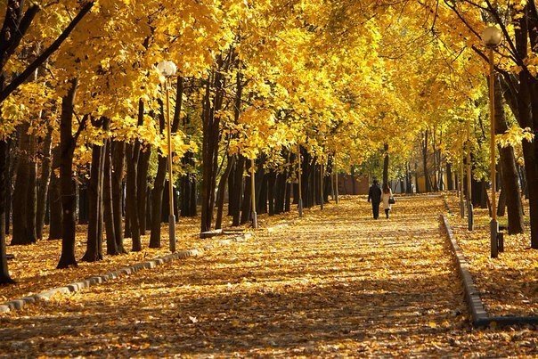 Картинки для отдыха глаз