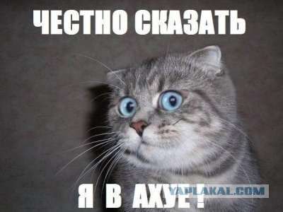 Ушла на первое свидание: в Екатеринбурге пять дней ищут пропавшую девушку