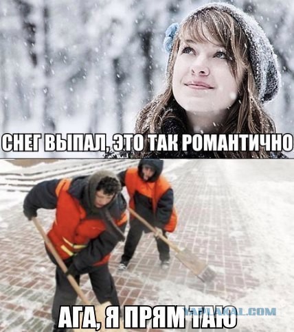 Порция картинок
