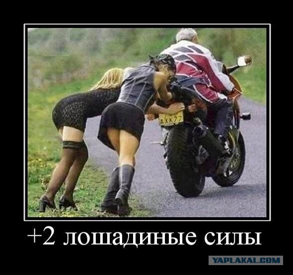 Баяны в чёрных рамках