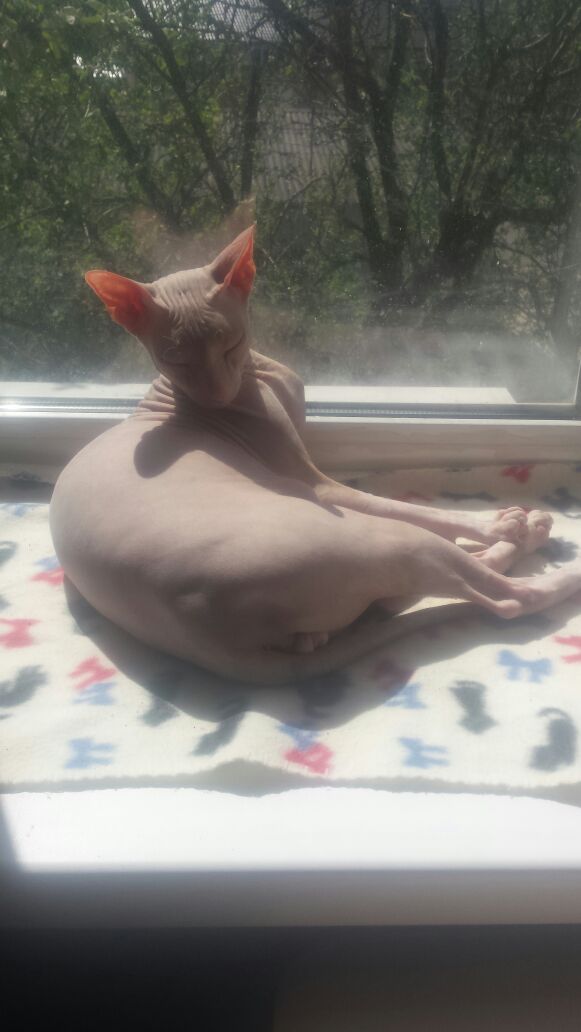Нет, это не голый человек