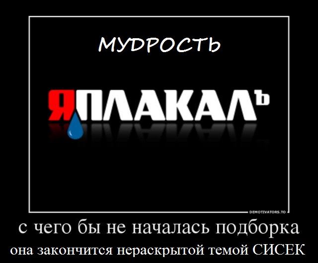 Подборка интересных и веселых картинок