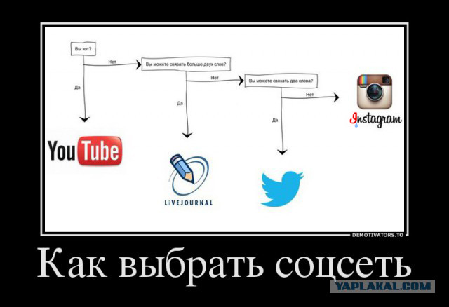 Чудики из социальных сетей