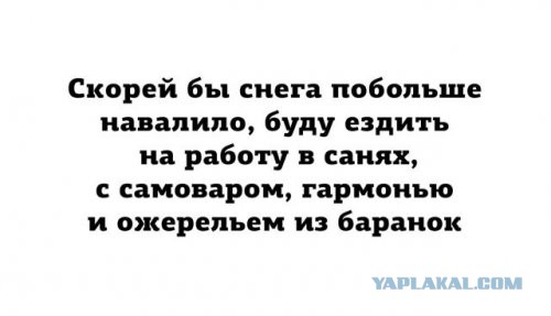 Центнер Идиотизма