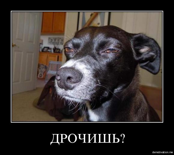 Оцифрованный секс или как нас убивает порно