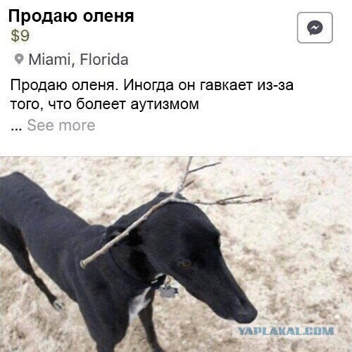 Нестандартный юмор