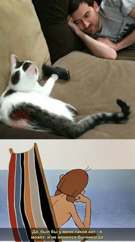 Нестандартный юмор
