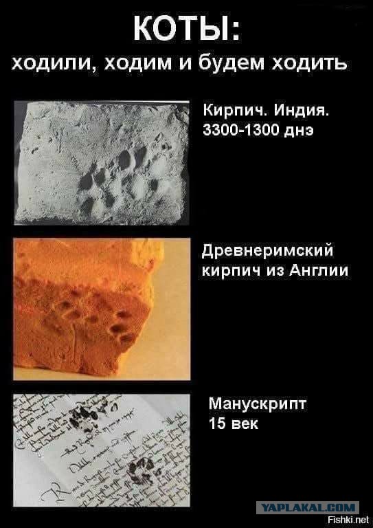 Эпитафия по Плаза