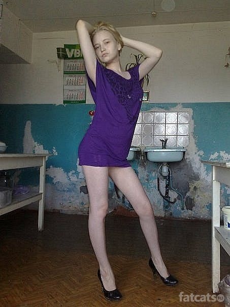 Скотсети и прочие интернеты 13.06.18