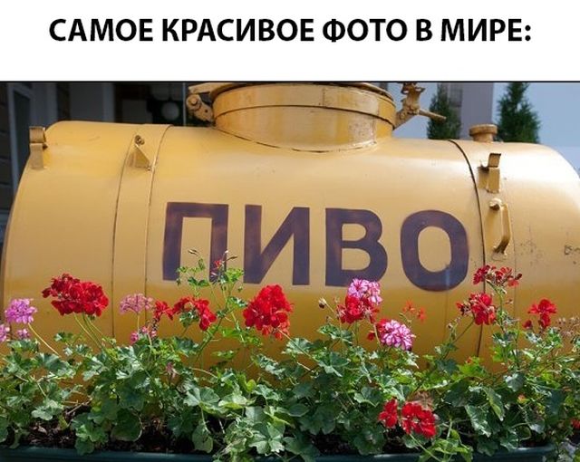 Подборка интересных и веселых картинок