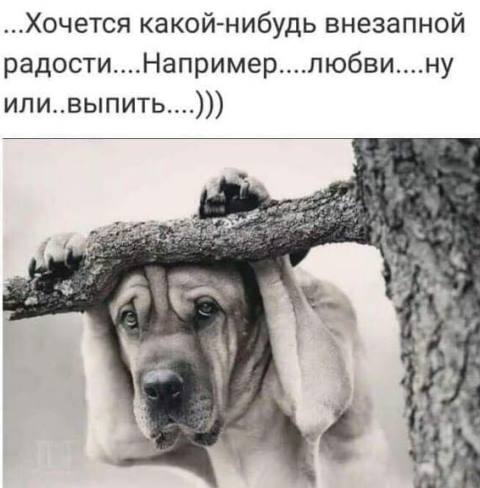 Подборка интересных и веселых картинок