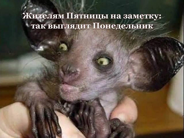 Специфический юмор