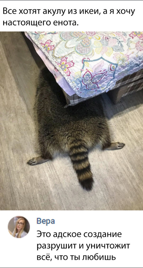 Нестандартный юмор