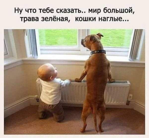 Абсолютно разный юмор в воскресных картинках