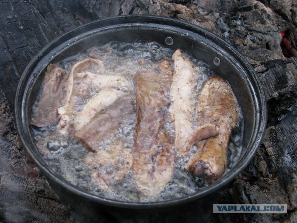 Экспедиция в Северную Тайгу