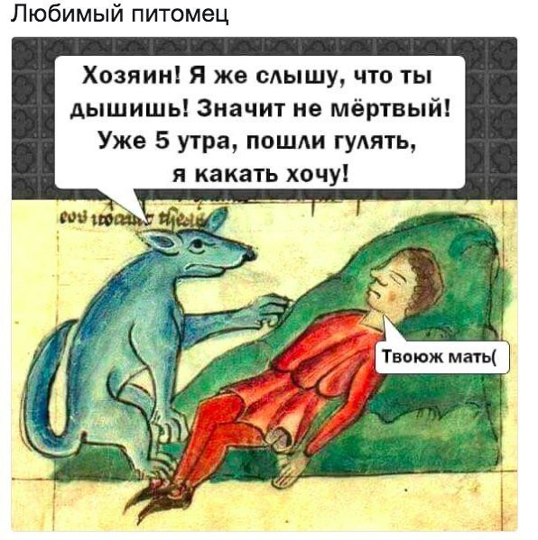 Немного картинок для настроения 06.11.19