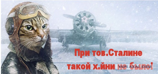 Подброка неинтересных и унылых картинок 22.11.2019
