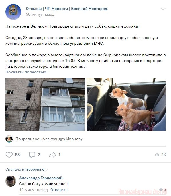 Комментарии к постам в разных группах, которые вызвали улыбку