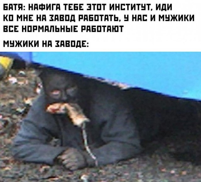 Мудрый папа