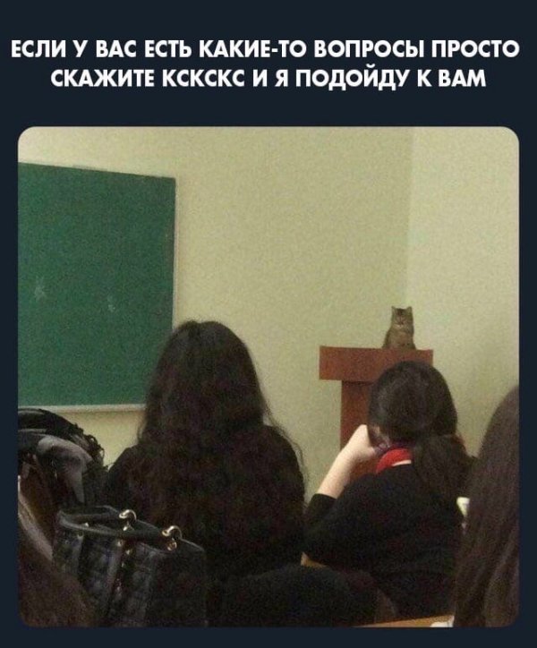 Картинки ни о чем