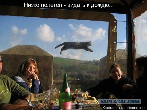 Смотрящий на районе