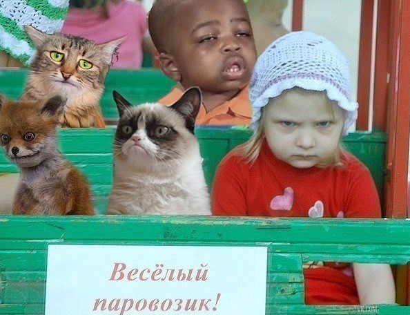 Зачем нужен муж в городе в 21 веке? Давайте теперь рубанем правду.