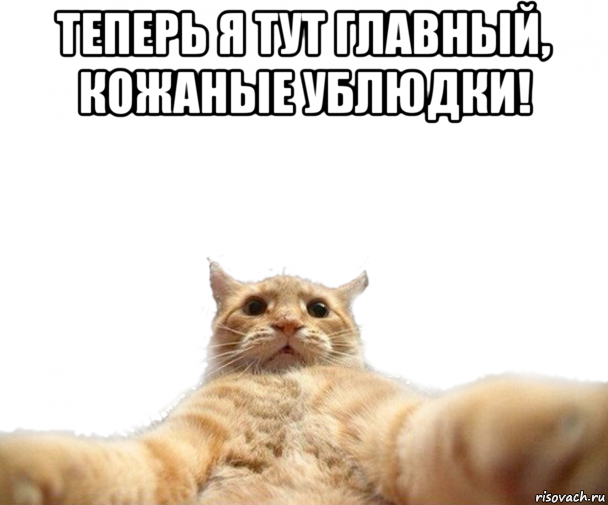 Новогодний подарок