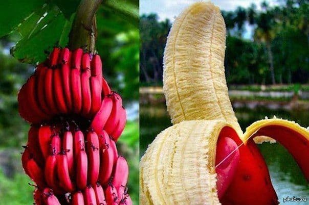 Знаете ли вы что? 2