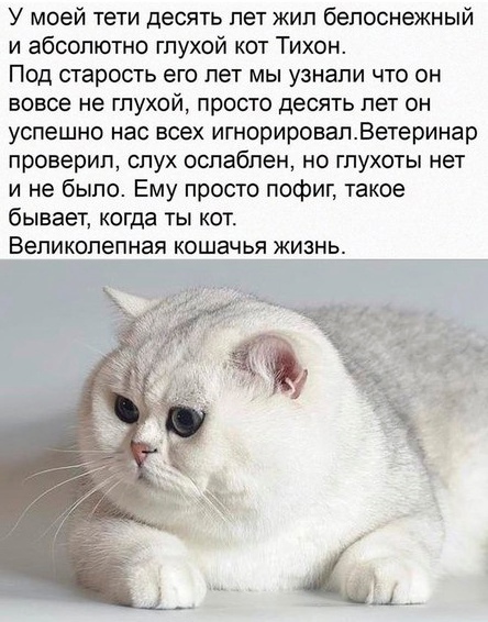 Так себе картинки 09.09.21