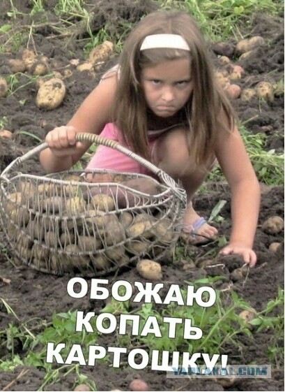 Никогда не зли доброго