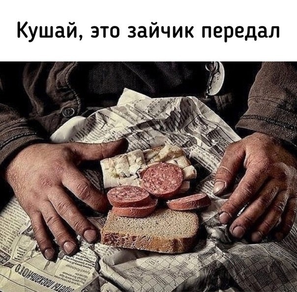 Зайчик передал