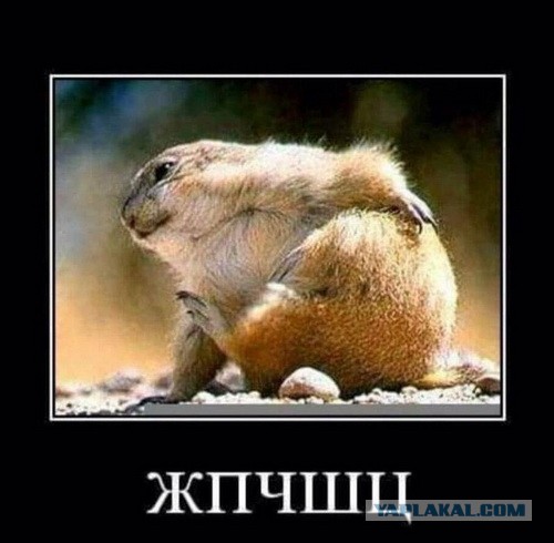 Лебединый танец