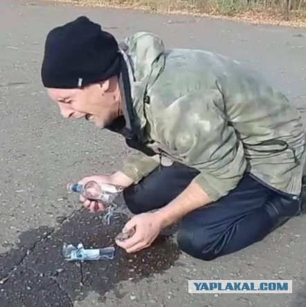 O, kurwa! Всё понятно и без перевода